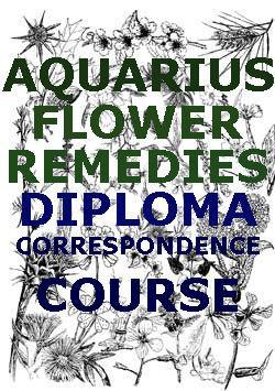 teach diploma course