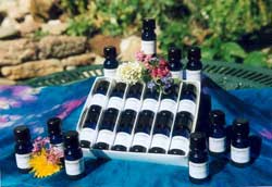 flower remedies distributors