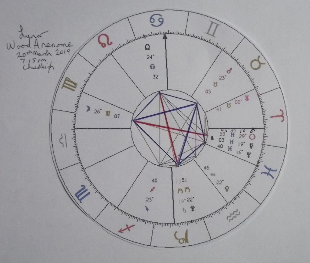 wood anenome.horoscope