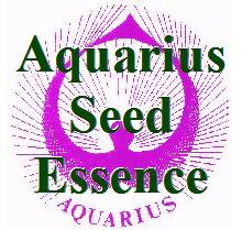 seed_essence_logo_1027109723