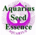 seed_essence_logo_1966095464