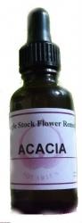Acacia Flower Essence / Remedy