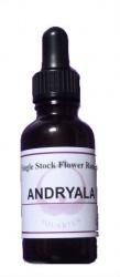 andryala flower essence bottle