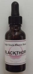 black thorn bottle