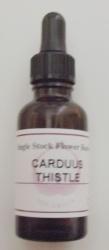 carduus thistle flower essence bottle